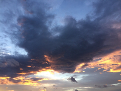 台風前にビッグフィッシュ！