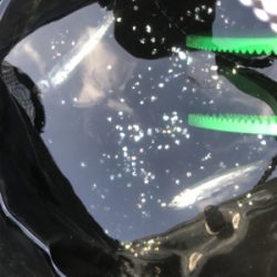 初キャスティングフィッシュ♫