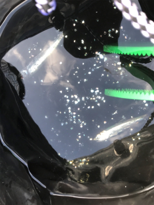 初キャスティングフィッシュ♫