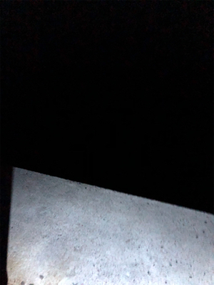 仕事終わりのエギング