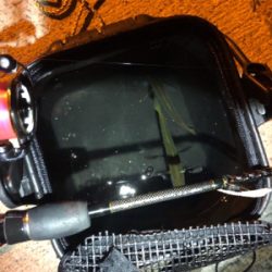 ライトゲーム！