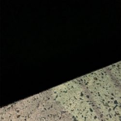 雨が降る前の短時間釣行