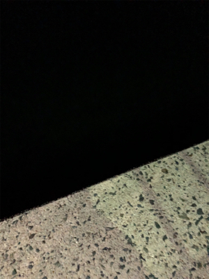 雨が降る前の短時間釣行