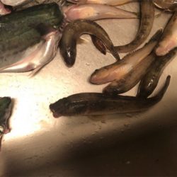 まさかの！！！！！