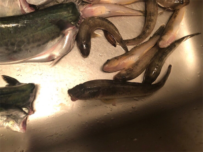 まさかの！！！！！