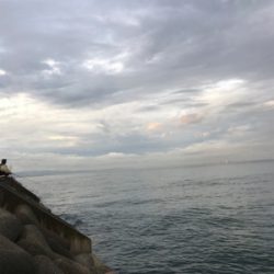 気まぐれタチ！