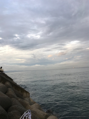 気まぐれタチ！