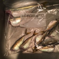 (‘-‘ 鯵)з(‘-‘ 鯖)з