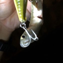 シーバススーパーボイル！