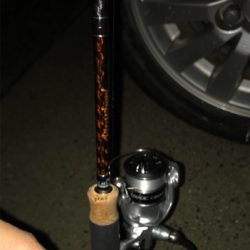 遠征ついでにメバリング