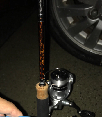 遠征ついでにメバリング