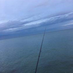 サゴ・サゴ・ガッシー