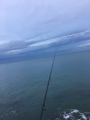 サゴ・サゴ・ガッシー