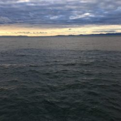 タチウオ好調‼︎