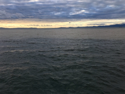 タチウオ好調‼︎