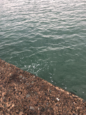 買い物帰りに短時間釣行