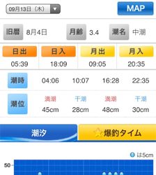 アオリイカ エギング