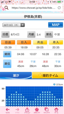 アオリイカ エギング