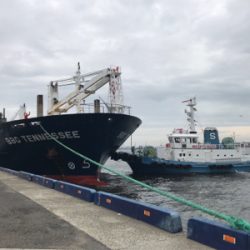 水潮はシーバス！