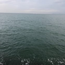 この後時期。いつもなら…