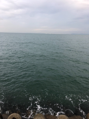 この後時期。いつもなら…