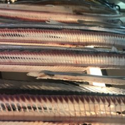 太刀魚@神戸港♫