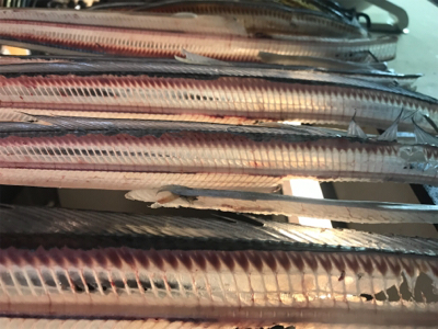 太刀魚@神戸港♫