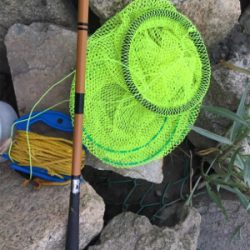 ハゼ釣り面白い！