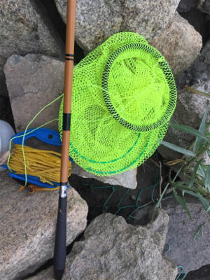 ハゼ釣り面白い！