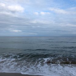 サーフでサゴシ