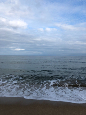 サーフでサゴシ