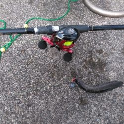 久し振りの上瀬