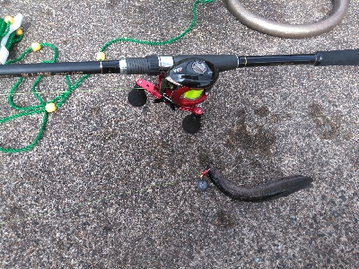 久し振りの上瀬