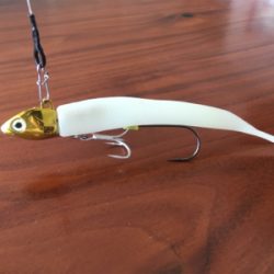 ワインドでサゴシ