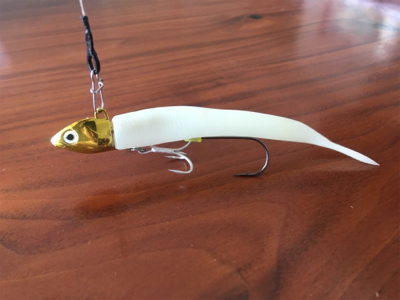 ワインドでサゴシ