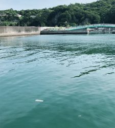 爆釣釣りガール