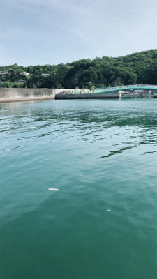 爆釣釣りガール