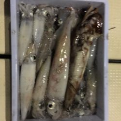 若狭和田沖 五目釣り&イカメタル