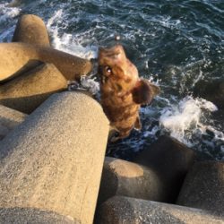 朝は全くアタリなし！