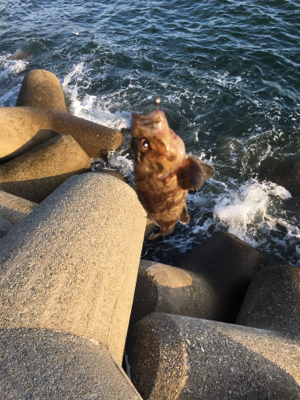 朝は全くアタリなし！