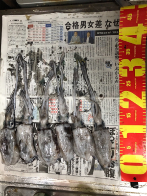 はじめての爆釣