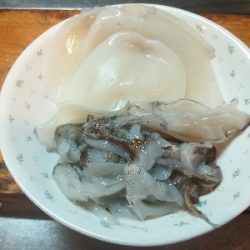 秋イカシーズン開始!