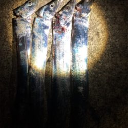 スローワインド!