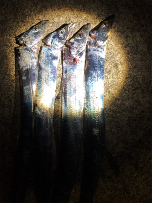 スローワインド!