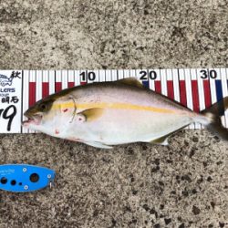 予想外の5目達成