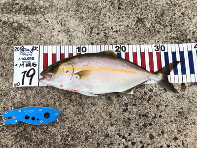 予想外の5目達成