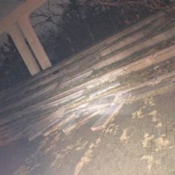 今期初タチウオ