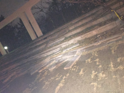 今期初タチウオ