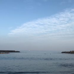 葉山ボードチャレンジ