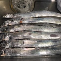 夕まずめ再アタック